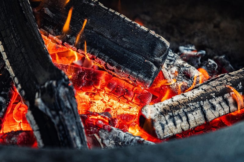Campfire in the wilderness